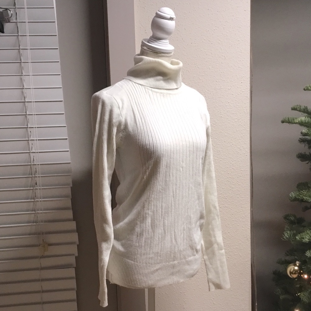 Aviva Turtleneck Sweater